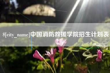 建湖中国消防救援学院招生计划表