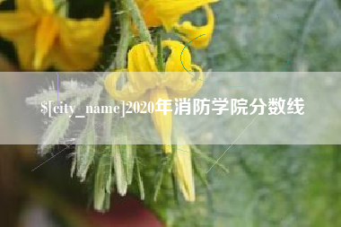 建湖2020年消防学院分数线