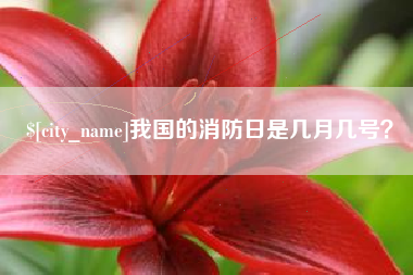 建湖我国的消防日是几月几号？