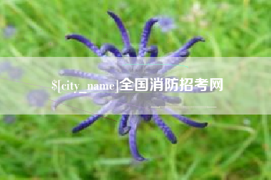 建湖全国消防招考网