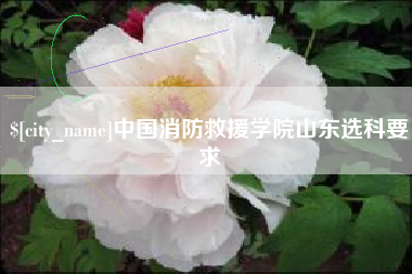 建湖中国消防救援学院山东选科要求