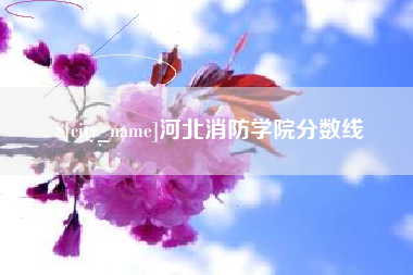建湖河北消防学院分数线