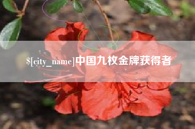 建湖中国九枚金牌获得者