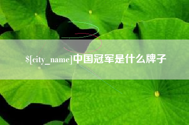 建湖中国冠军是什么牌子