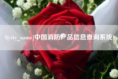 建湖中国消防产品信息查询系统1