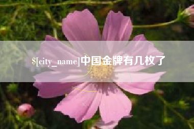 建湖中国金牌有几枚了