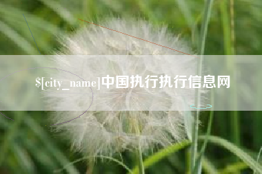 建湖中国执行执行信息网