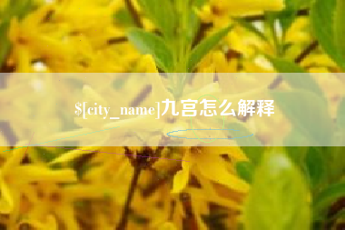 建湖九宫怎么解释