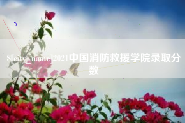 建湖2021中国消防救援学院录取分数