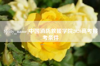 建湖中国消防救援学院2020高考报考条件