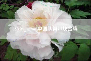 建湖中国队第八块金牌