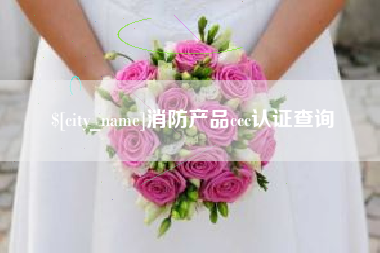 建湖消防产品ccc认证查询
