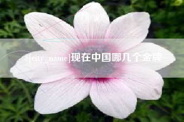 建湖现在中国哪几个金牌