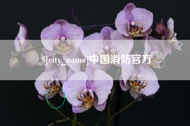 建湖中国消防官方