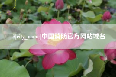 建湖中国消防官方网站域名