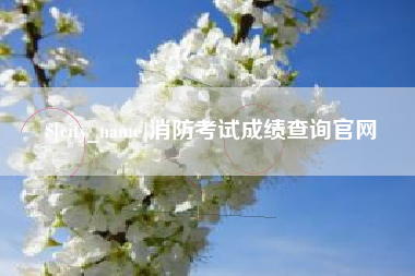 建湖消防考试成绩查询官网