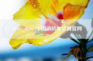 建湖中国消防考试网官网