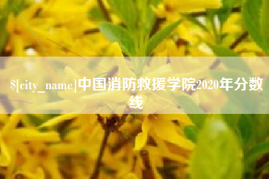 建湖中国消防救援学院2020年分数线