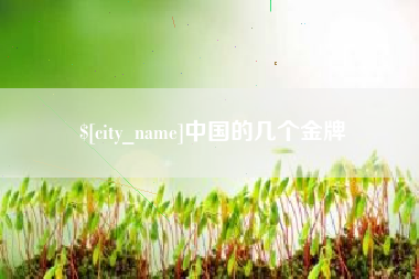 建湖中国的几个金牌