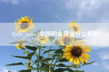 建湖中国的金牌是什么样的
