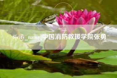 建湖中国消防救援学院张勇