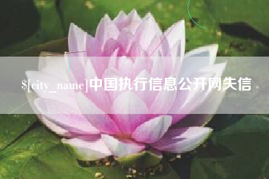 建湖中国执行信息公开网失信
