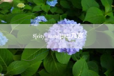 建湖2022九宫