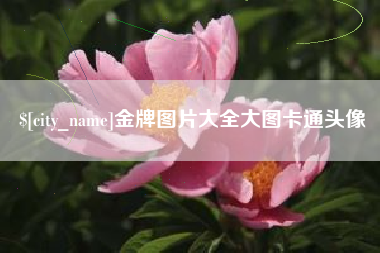 建湖金牌图片大全大图卡通头像
