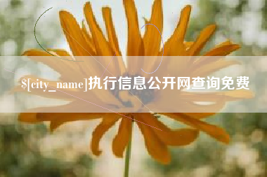 建湖执行信息公开网查询免费