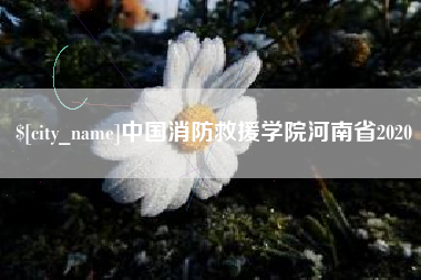 建湖中国消防救援学院河南省2020